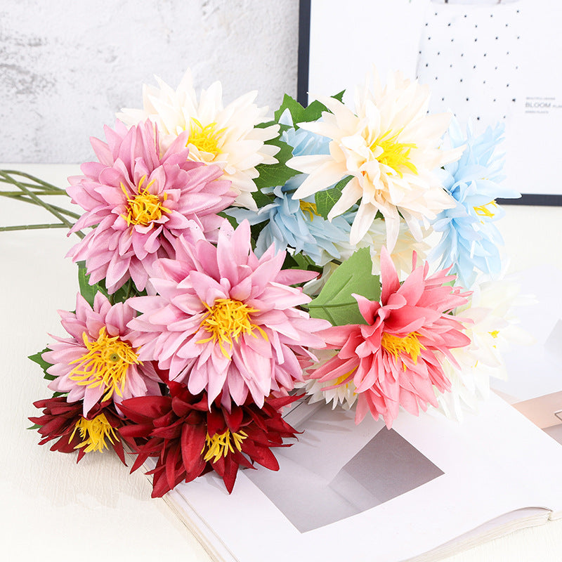 2025 Dahlias